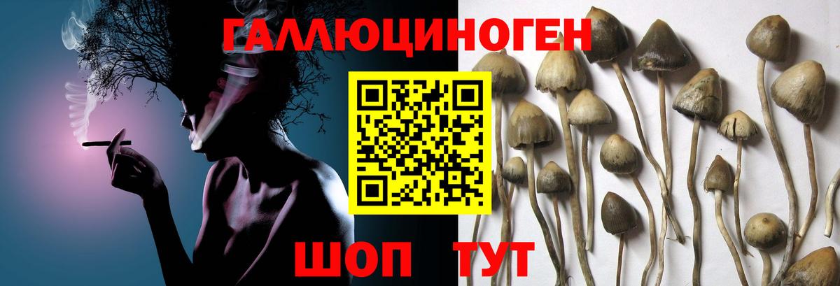 Троицк  Галлюциногенные грибы MAGIC MUSHROOMS  Вход с VPN 